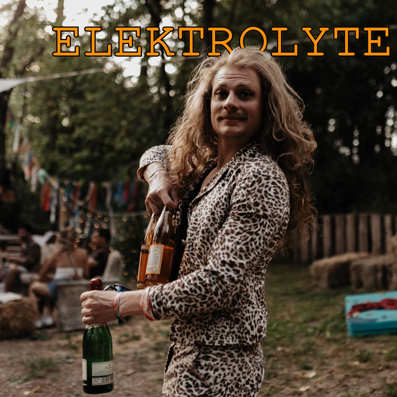 Elektrolyte
